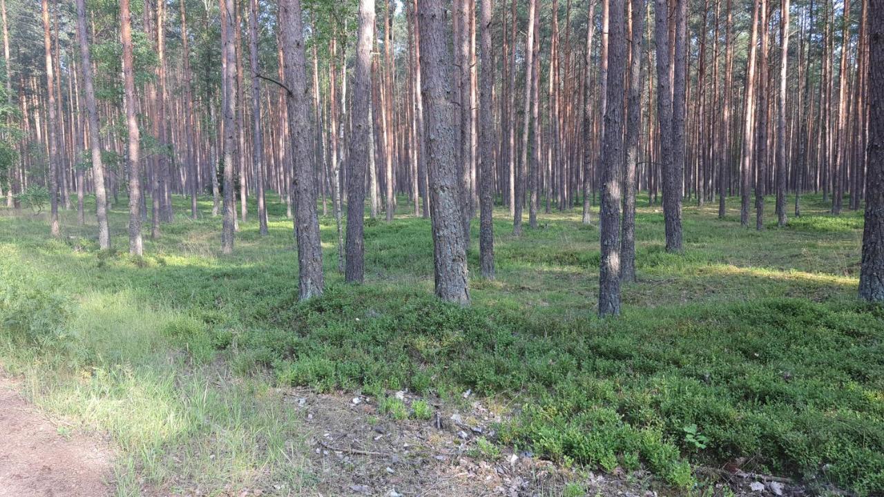 Appartamento Bukowa Ostoja Nakielno Esterno foto