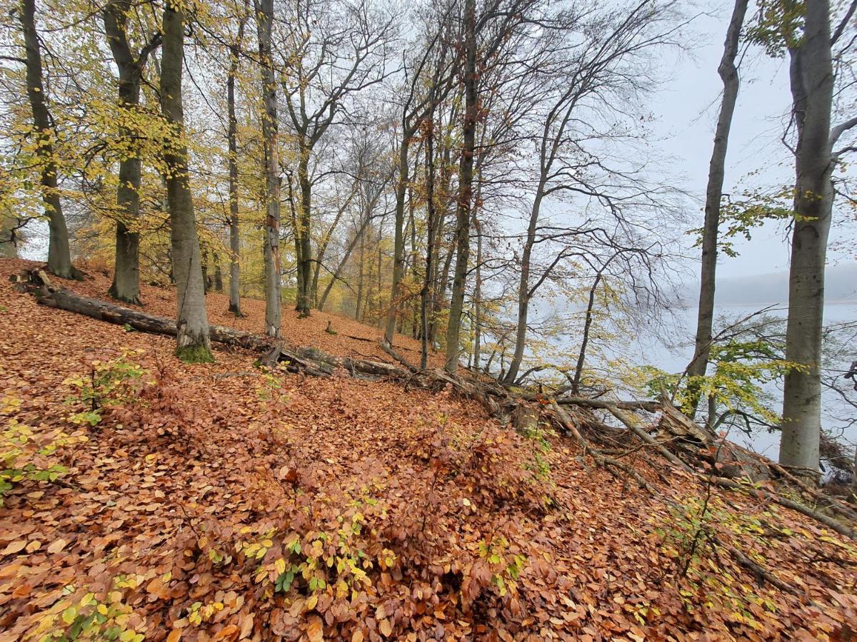 Appartamento Bukowa Ostoja Nakielno Esterno foto