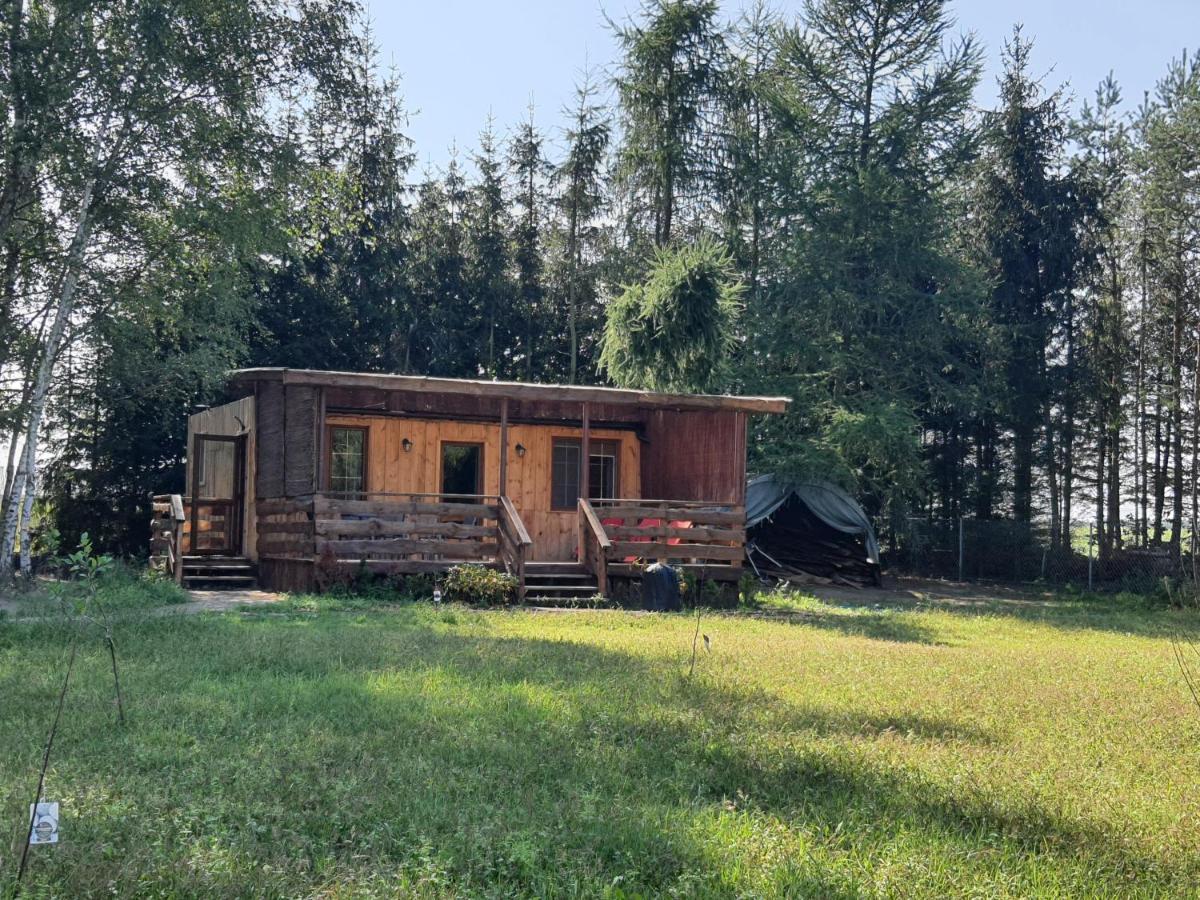 Appartamento Bukowa Ostoja Nakielno Esterno foto